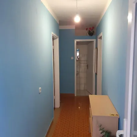 Damir 马卡尔斯卡